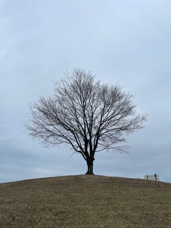 Alison, March 2023