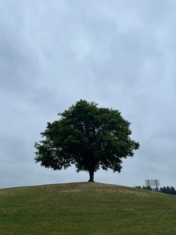 Alison, June 2023